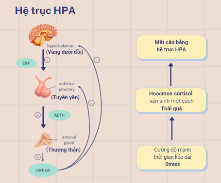 Ảnh có chứa văn bản, ảnh chụp màn hình, biểu đồ, Phông chữ  Mô tả được tạo tự độ